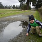 Parker and the Puddle