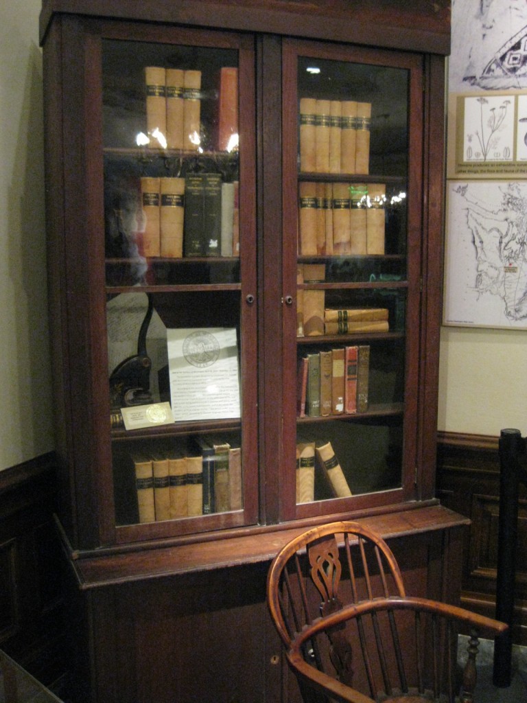 The bookcase and the chair