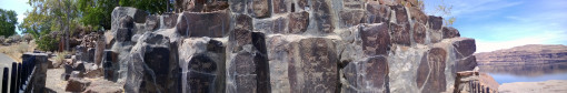 Ginkgo petroglyphs